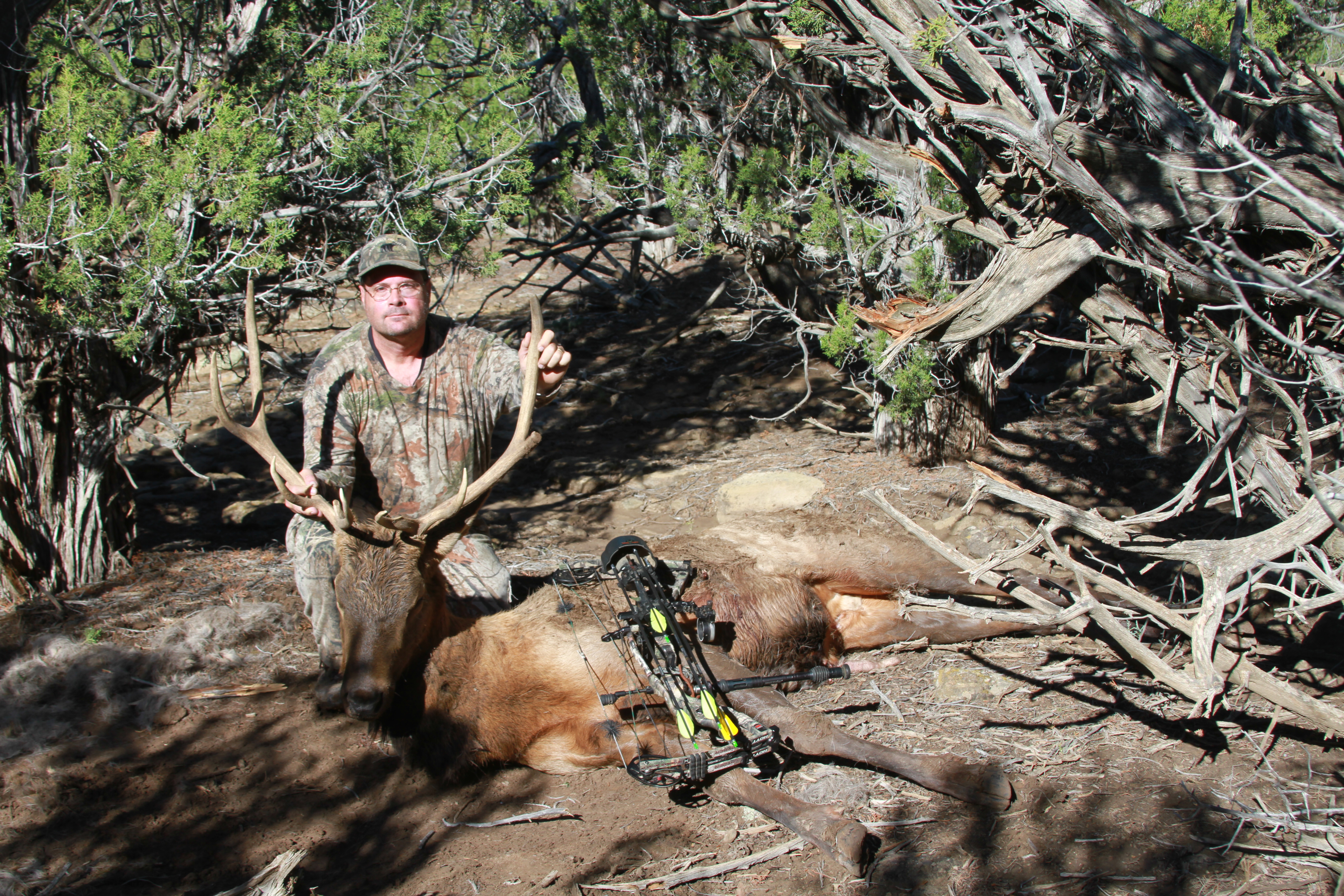2015-NM-Elk