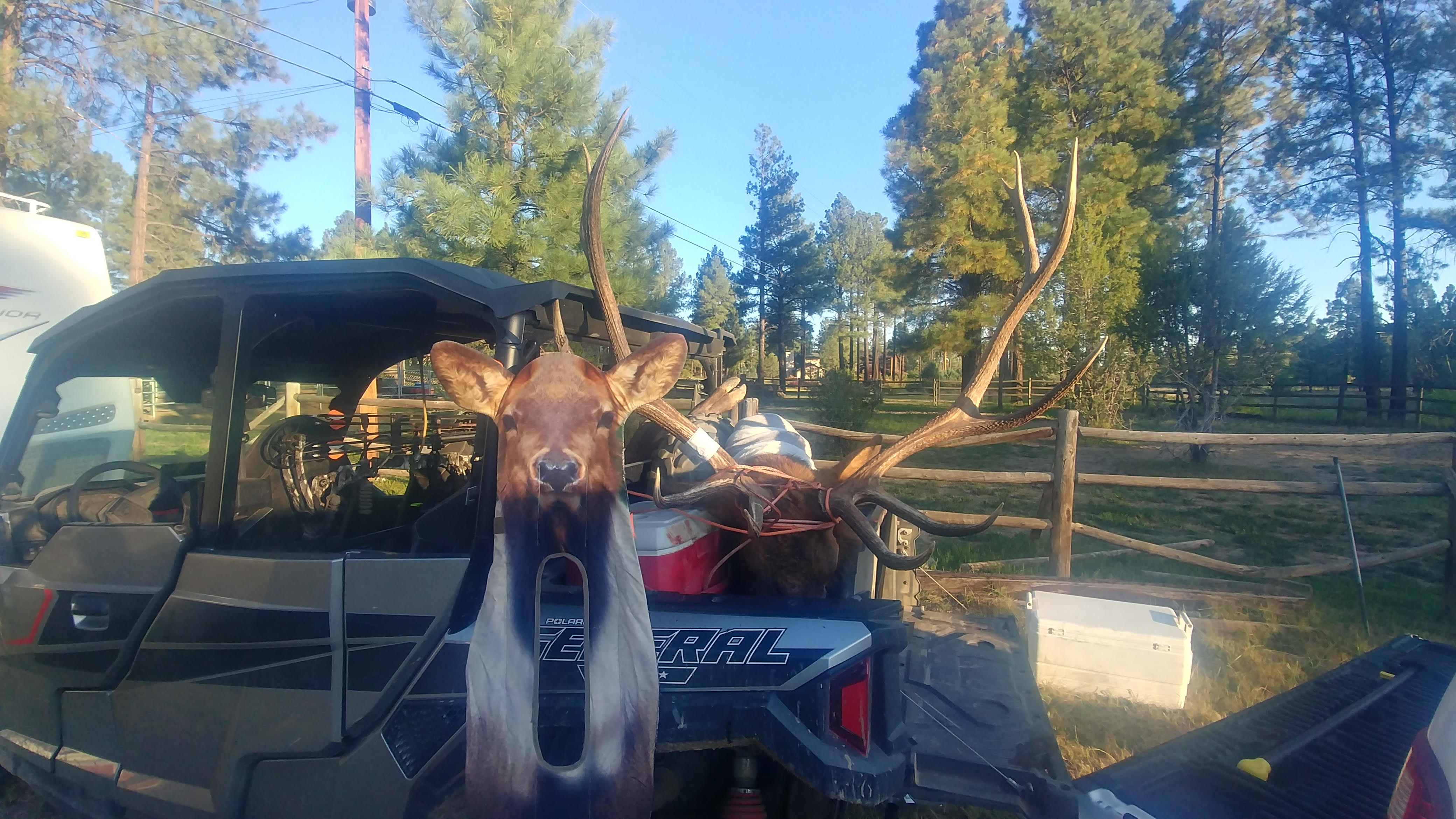 David Gronlund Flagstaff AZ