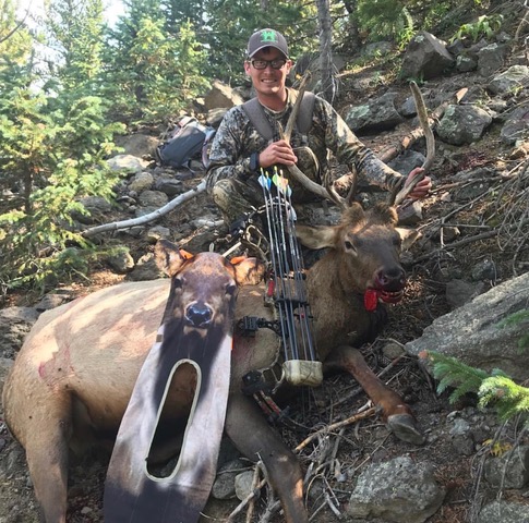 Elk Green River UT