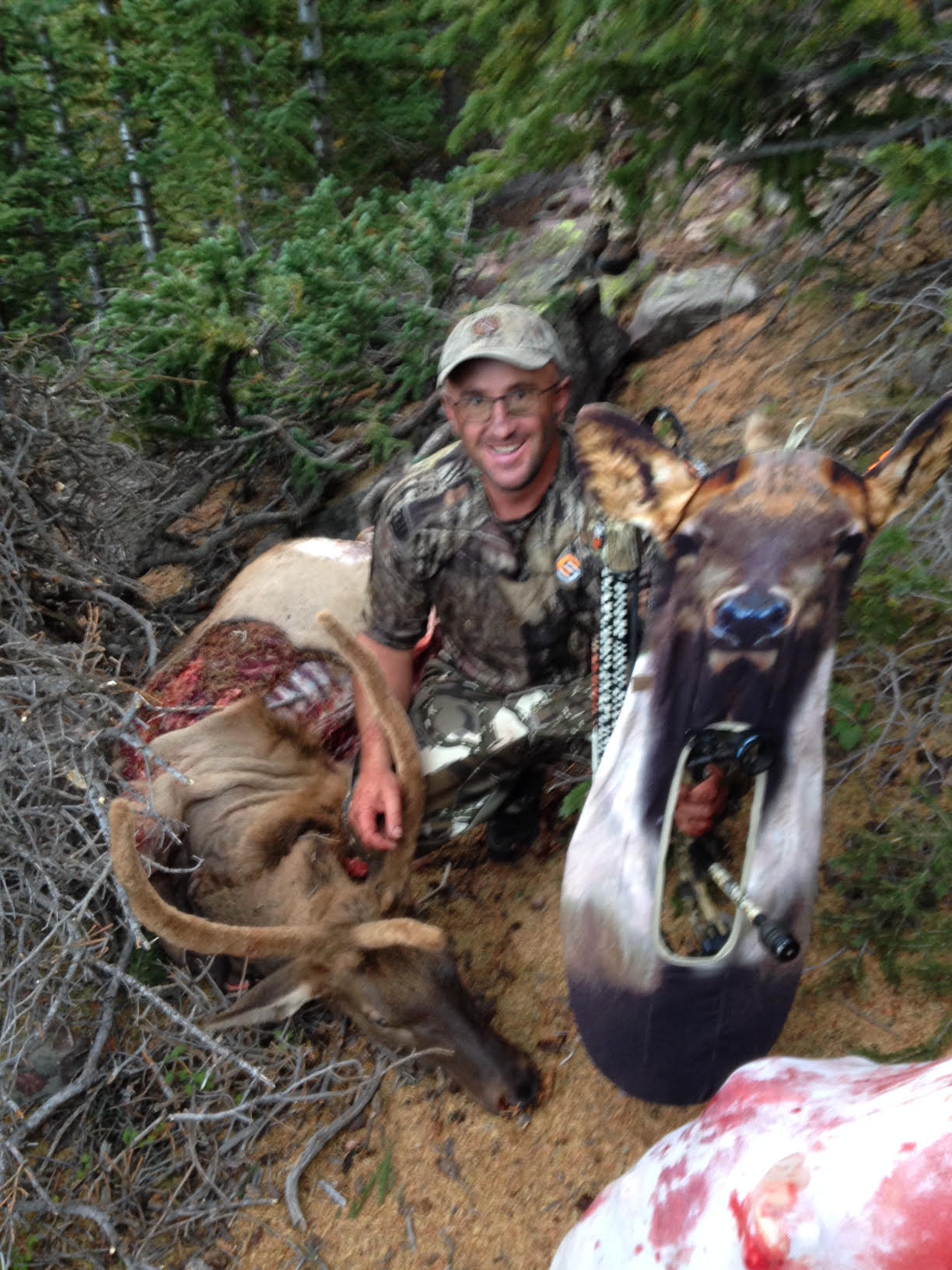Elk Gunnison UT