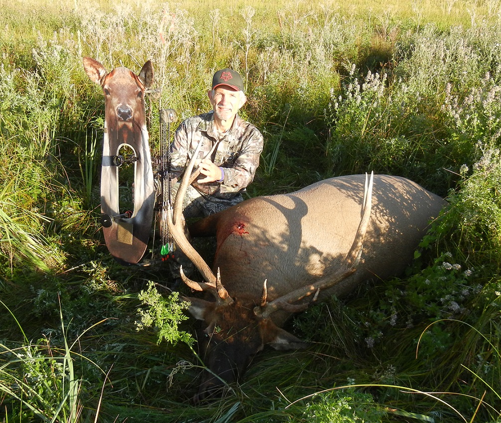 Elk with Decoy1