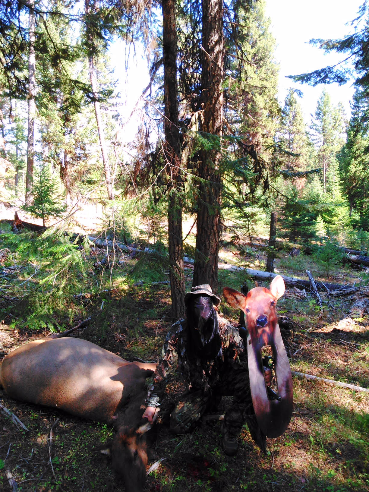 Moose Johnson Vale OR