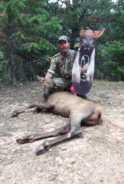 elk-20171 (1)
