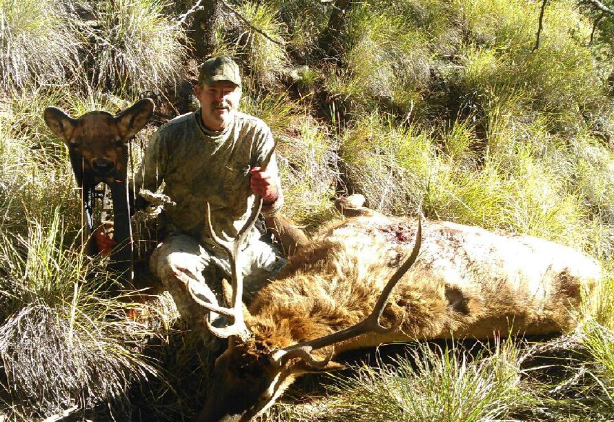 Elk