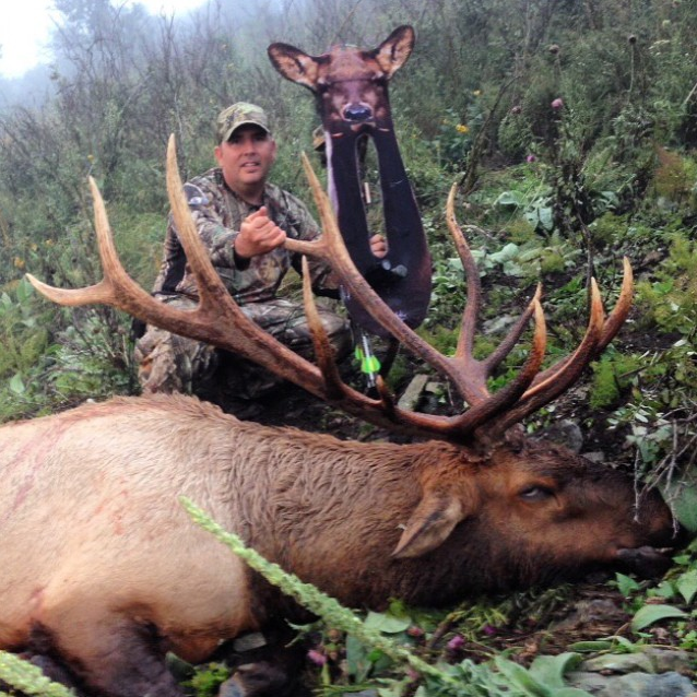 Elk