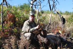 2015-CO-Elk
