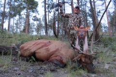 Bitter-Bull-1024x768