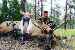 Bransen Krebs Townsend MT