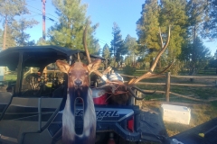 David Gronlund Flagstaff AZ