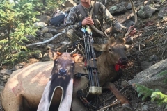 Elk Green River UT