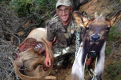 Elk Gunnison UT
