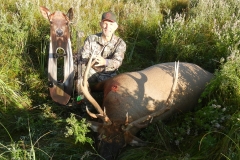 Elk with Decoy1