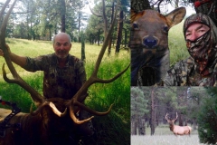 Elk
