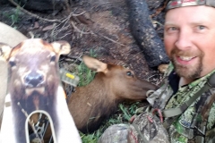 John-Anderson-Elk-e1513183348715-768x1024