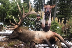 Tom Dagostin Bozeman MT