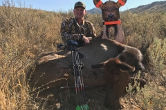 Tyson Holden Delta UT