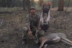 deer-2017-e1512164767203