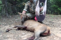 elk-20171 (1)