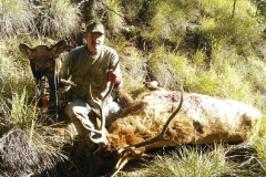 Elk