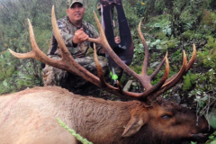 Elk