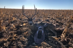 Burlington CO