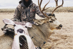 Mulie-Wray-CO