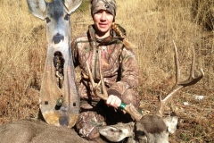 Mule Deer