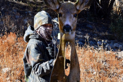 Mule Deer