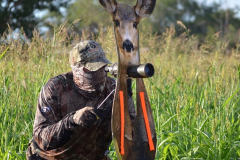 Mule Deer