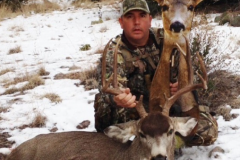 Mule Deer