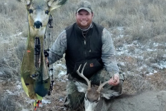 Mule Deer