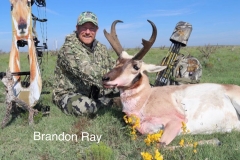 Brandon Ray Amistad NM