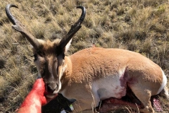 Ethan Pratt East Helena MT Buck