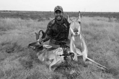 Pronghorn