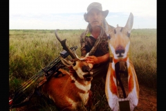 Pronghorn