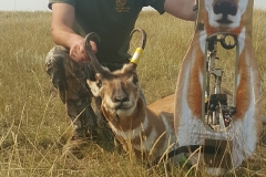 IMG_8136