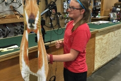Pronghorn