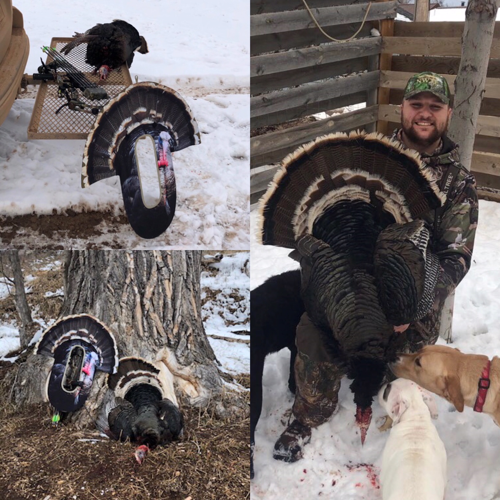 Dylan Smith, Spearfish SD