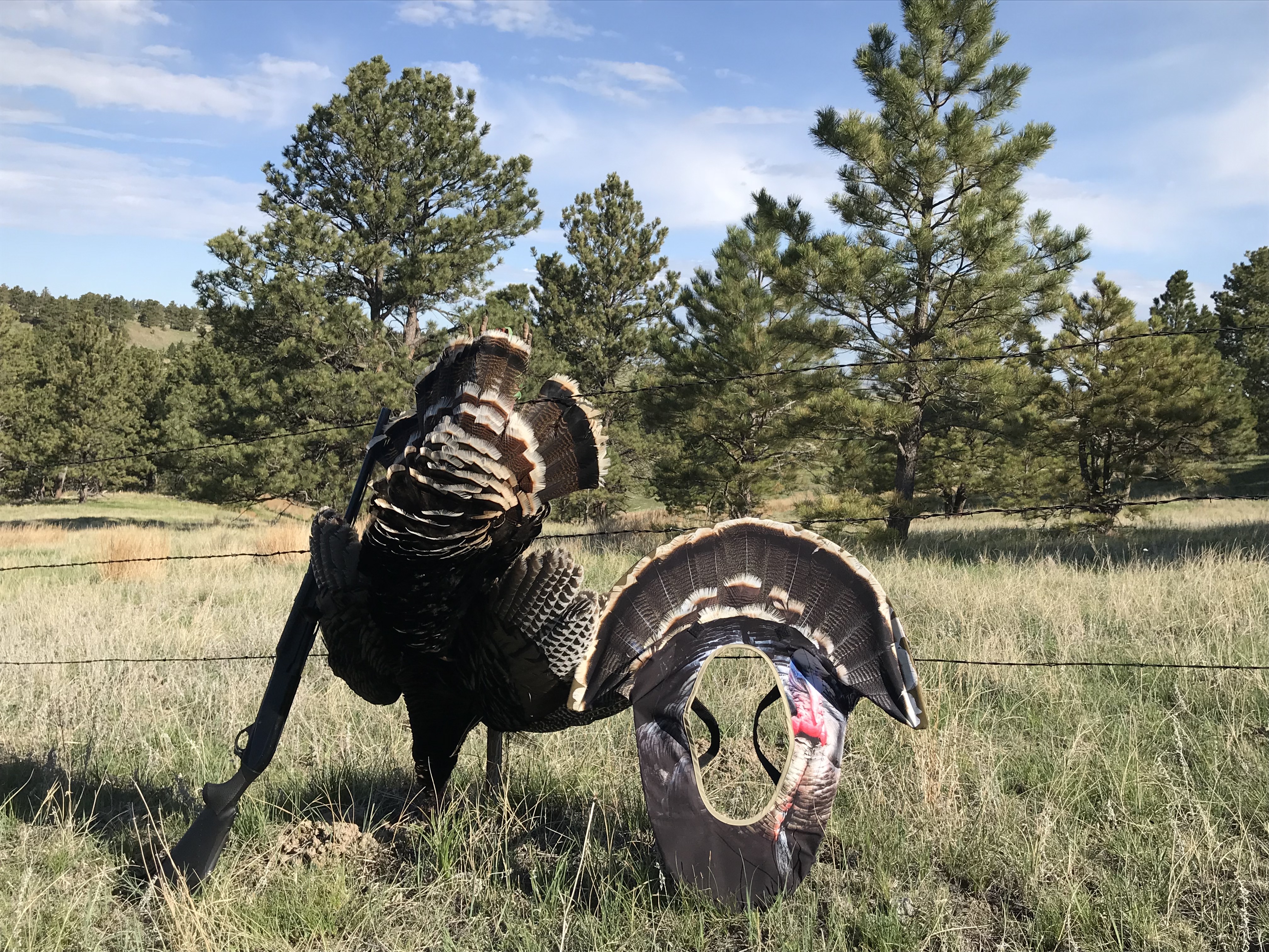 Mike Fitz Centennial CO
