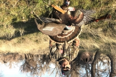 Chris Craig CO