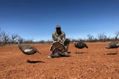 Lloyd McCoy WD Texas