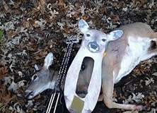 KS Doe Down